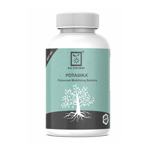 500ml Potasika Potassium Mobilizing Bacteria
