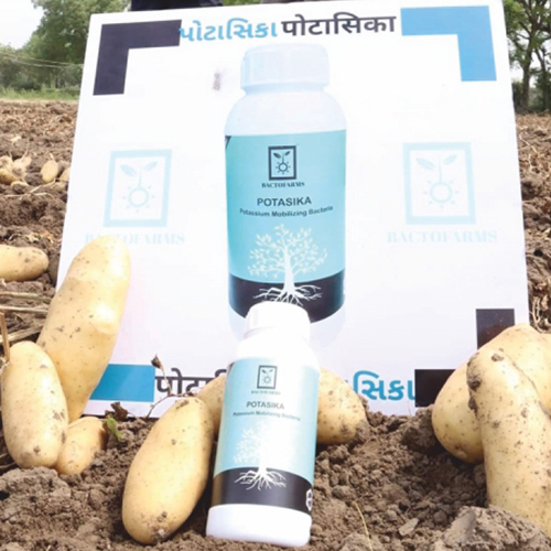 500ml Potasika Potassium Mobilizing Bacteria - Application: Agriculture