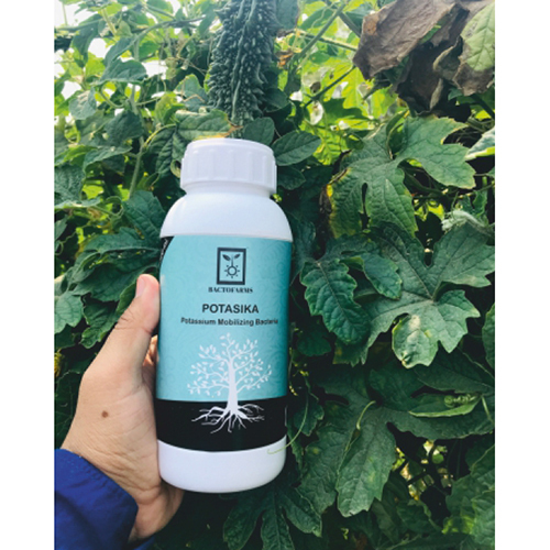 500ml Potasika Potassium Mobilizing Bacteria