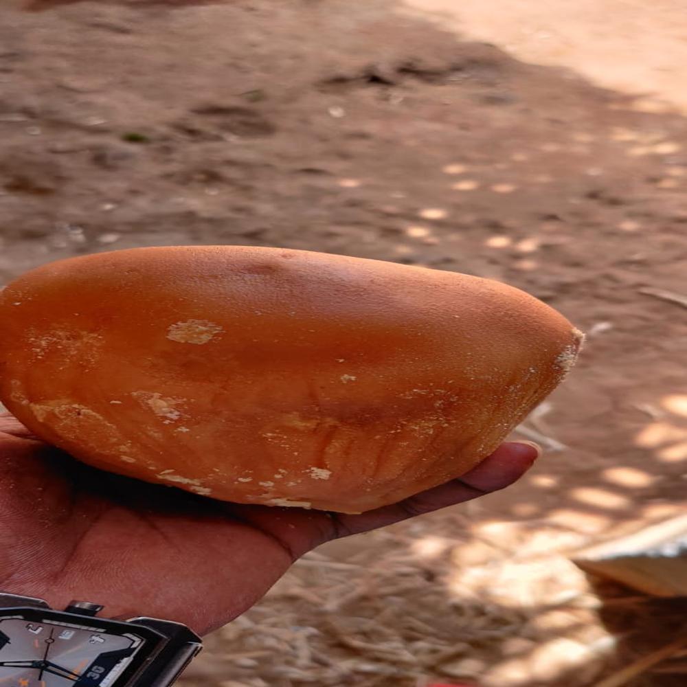 Sugarcane Jaggery - Origin: India