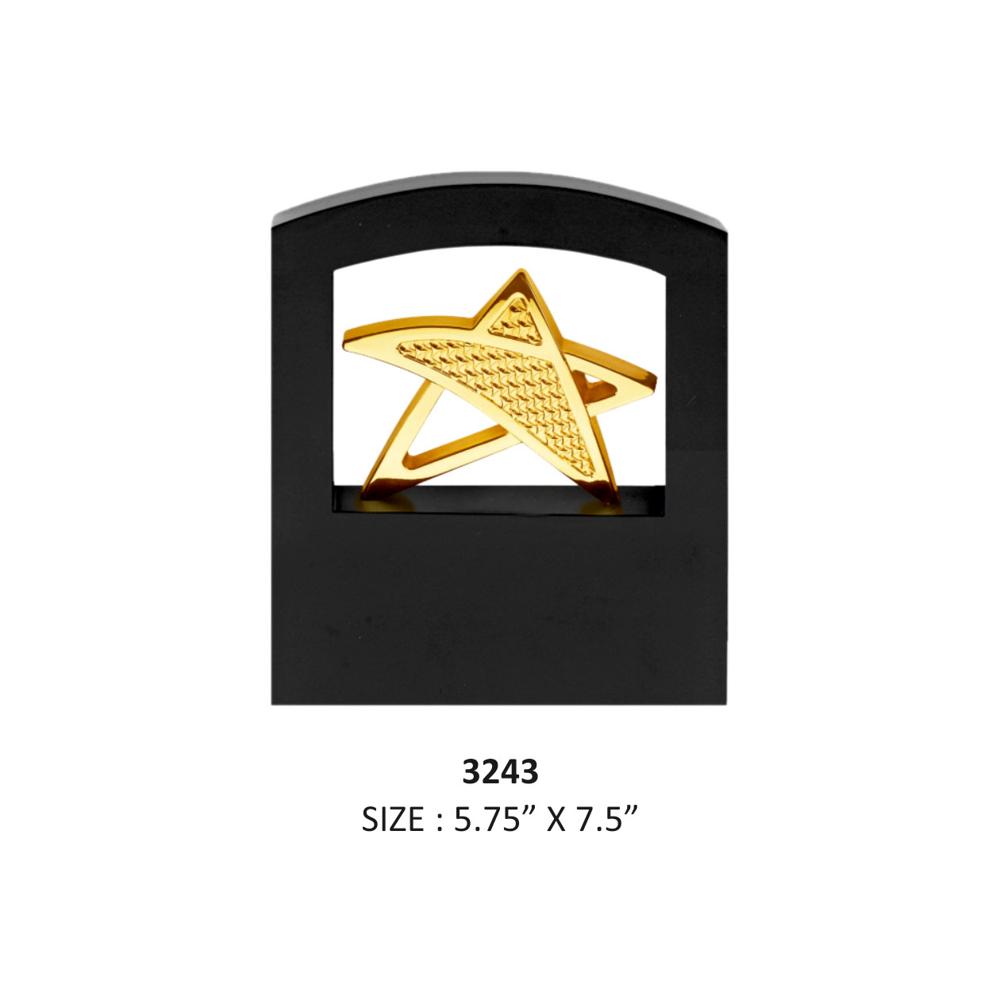 Metal Trophy - Finishing: Glossy