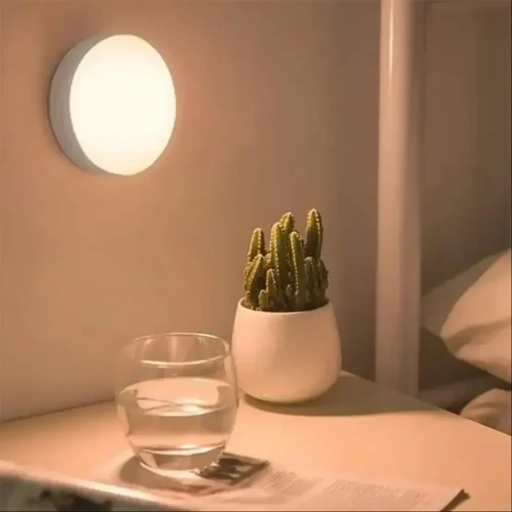 Motion Sensor Light
