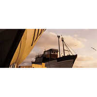 Marine Plywood