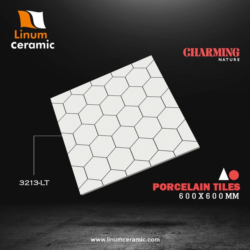8077 600x600 Mm Porcelain Tile - Feature: Acid-resistant