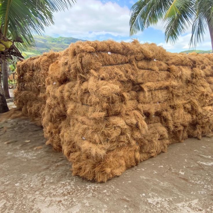 Coco Fiber 120 Bels - Advantage: Long Life