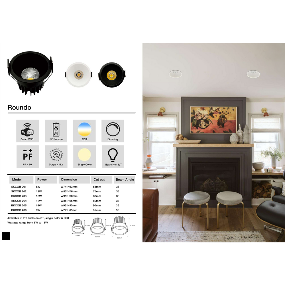 Led Cob Smart Light - Application: Indoor/outdoor