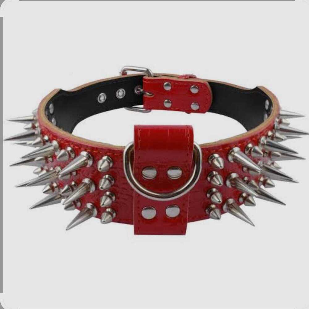 Brass Dog Collars Spiked - Color: Silver
