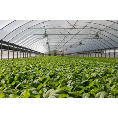 Agricultural Poly House - Cover Material: Pc Sheet