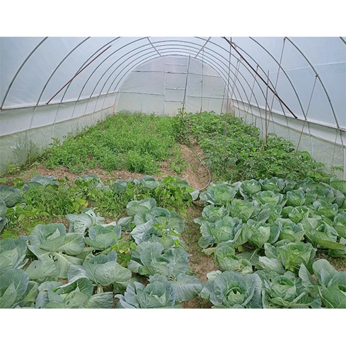 Agricultural High Tech Polyhouse - Advantage: Controlled Environment