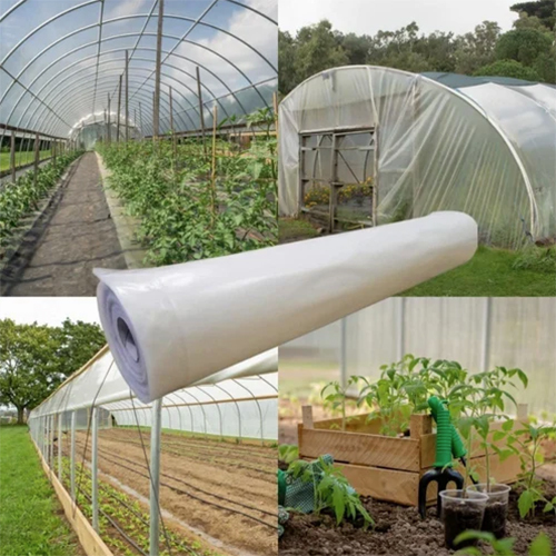 Hi Tech Polycarbonate Greenhouse