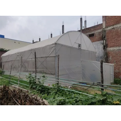 Walking Tunnel Polyhouse - Advantage: Controlled Environment