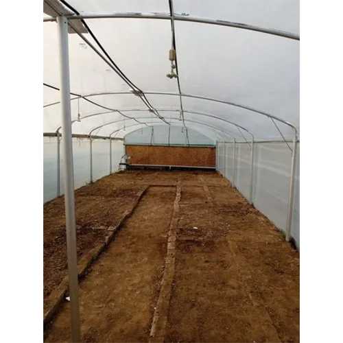 Walking Tunnel Polyhouse