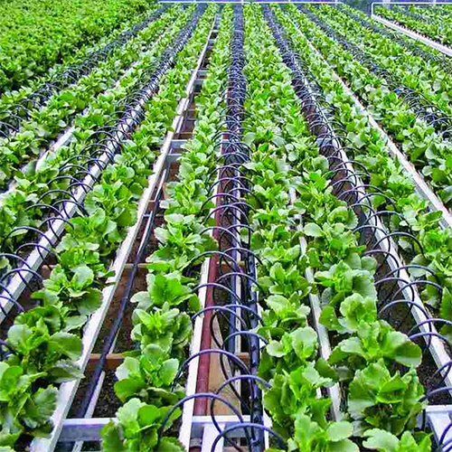 Micro Drip Irrigation Services - Flow Rate: Varies As Per Size