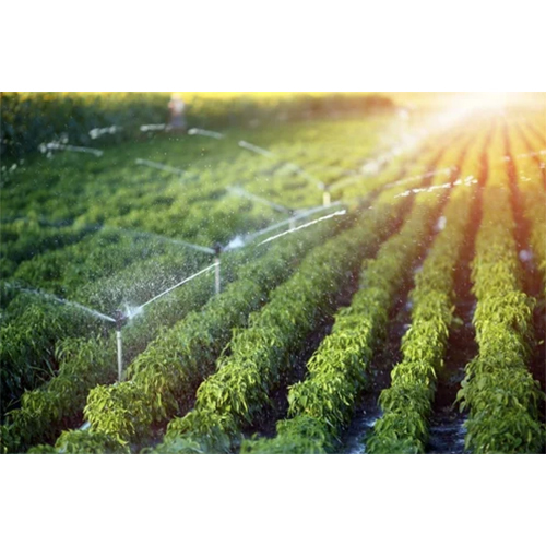 Drip Irrigation Consultancy Services - Flow Rate: Varies As Per Size