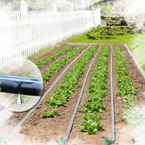 Drip Irrigation System Installation Services