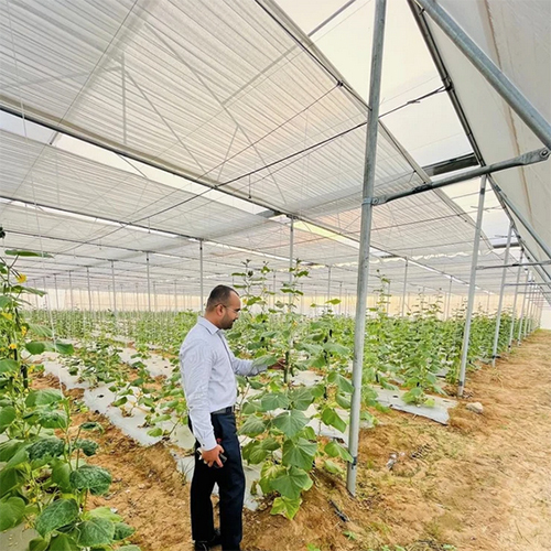 Naturally Ventilated Poly Greenhouse - Advantage: Controlled Environment