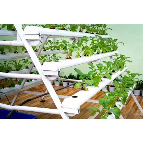 Agriculture Greenhouse Structure - Advantage: Controlled Environment
