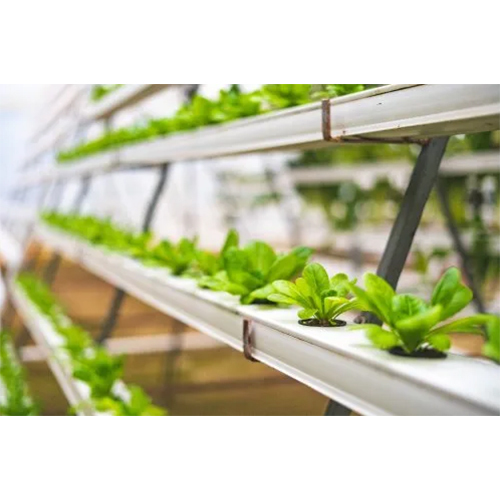 Agriculture Greenhouse Structure