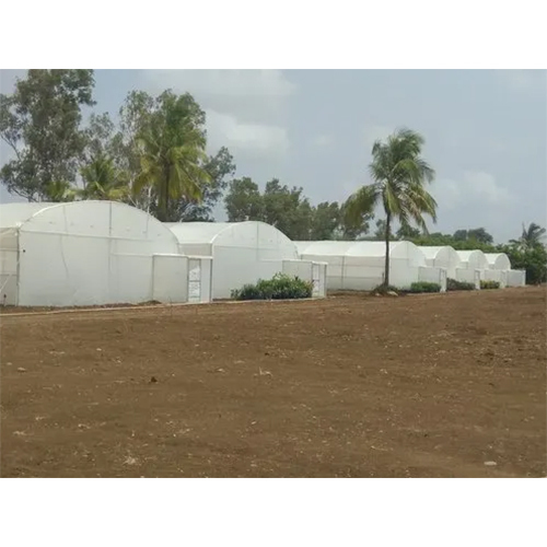 Agriculture Greenhouse Structure
