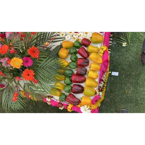 Polyester Agriculture Greenhouse - Advantage: Controlled Environment