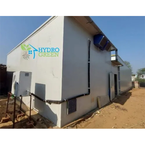 Blue Star Mushroom Plant Services