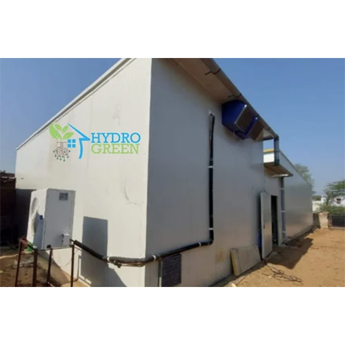 Blue Star Cold Rooms For Mushroom Services