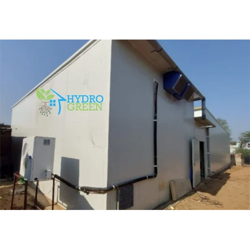 Button Mushroom Farming Service