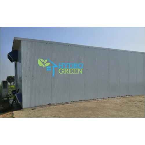 Button Mushroom Farming Service