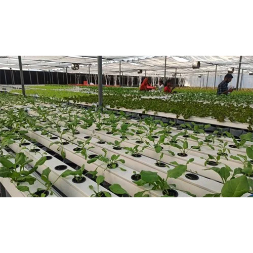 UPVC Hydroponic Fodder System