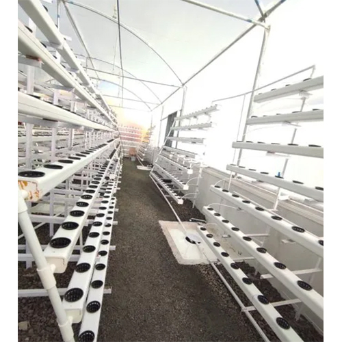 Industrial Hydroponic Fodder System