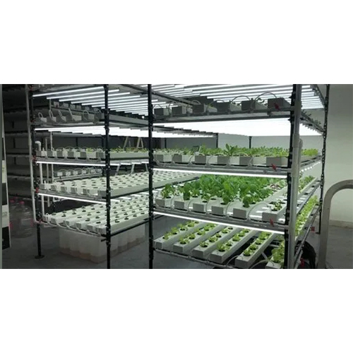 04_Hydroponic Fodder System