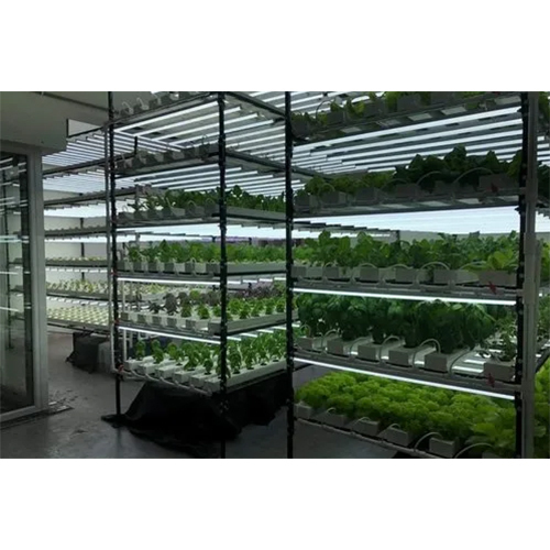 01_Indoor Hydroponic Systems - Height: Requirement Based Foot (Ft)