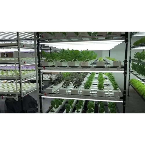 02_Indoor Hydroponic Systems - Height: Requirement Based Foot (Ft)