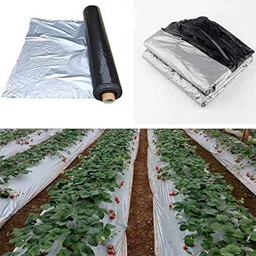 Agriculture Mulching Sheet
