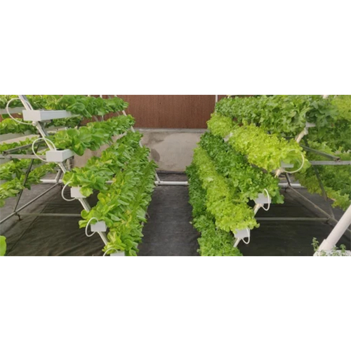 Plant Cultivation Services - Advantage: Moisture Retention