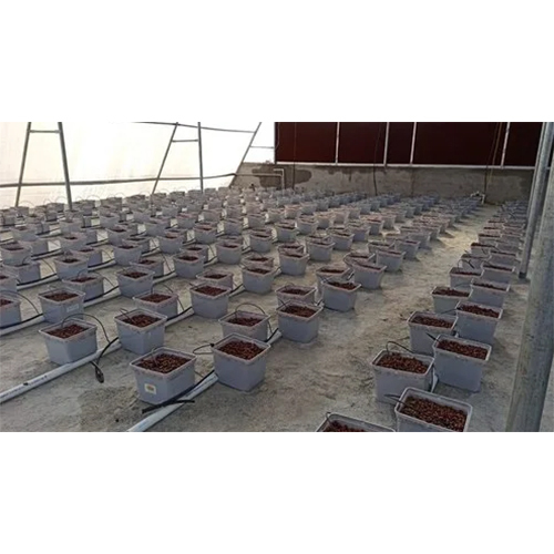 Plant Cultivation Services