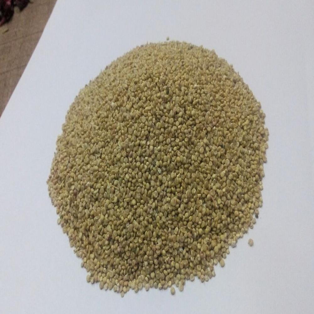 Quinoa Seeds
