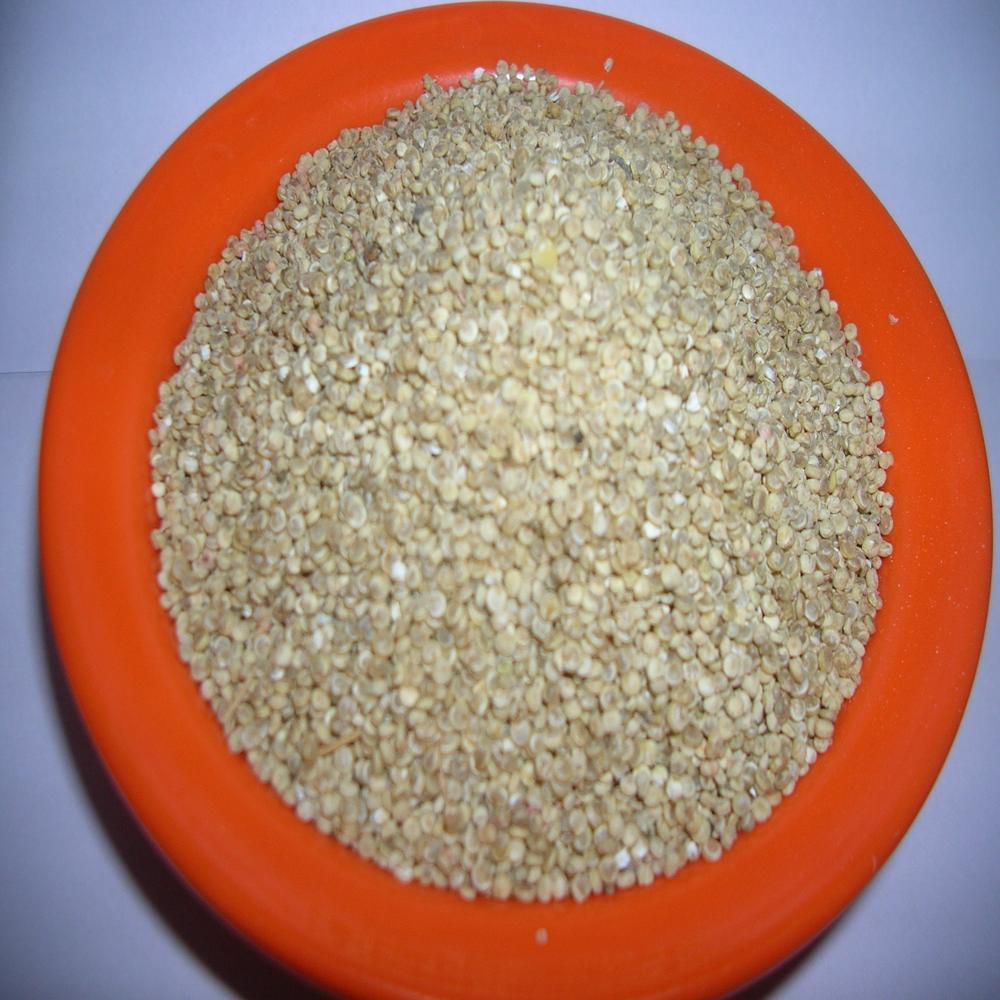 Quinoa Seeds