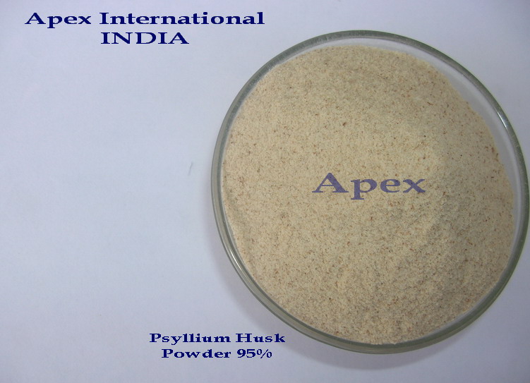 Psyllium Husk Powder