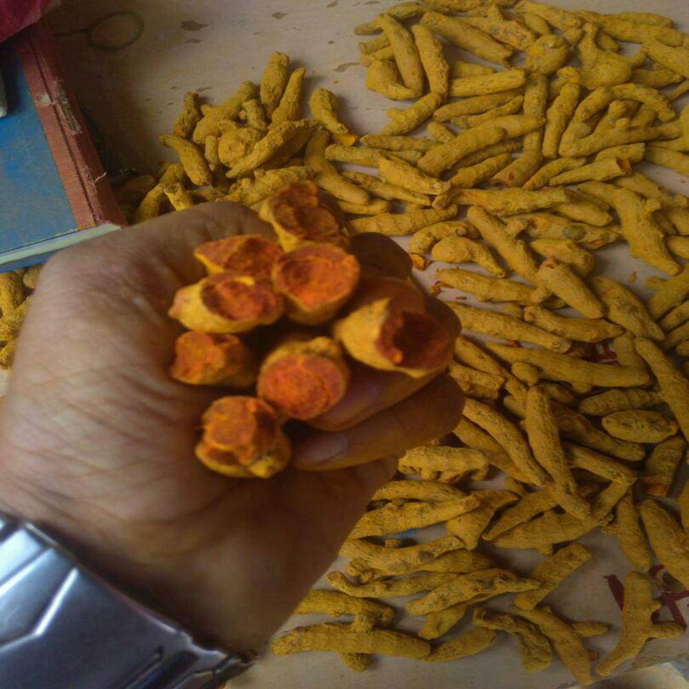 Turmeric Fingers