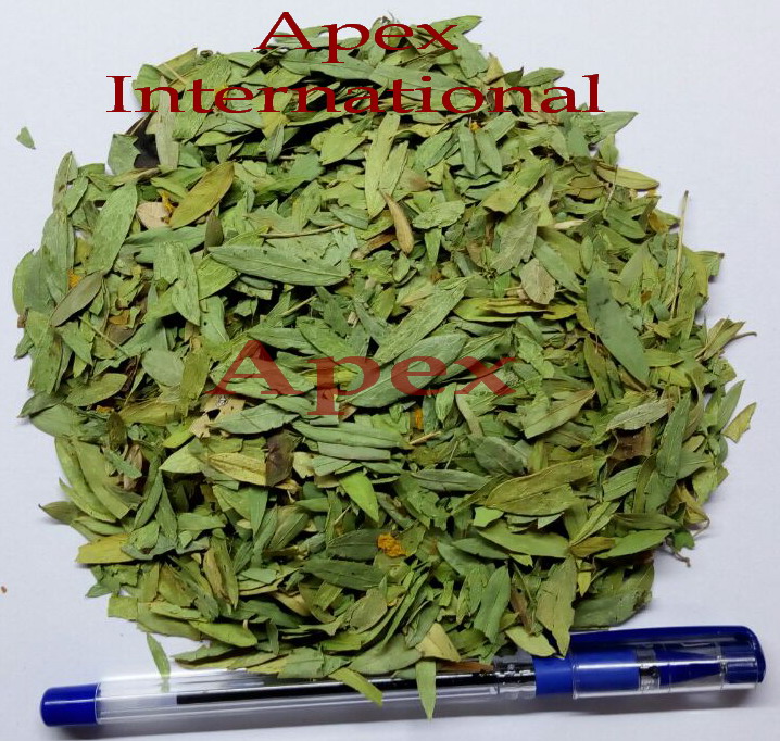 Senna Leaves