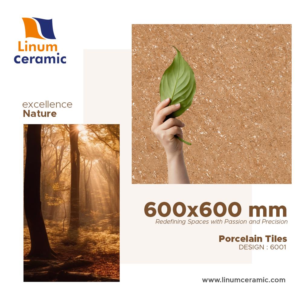  600x600 MM Matt Finish Tile