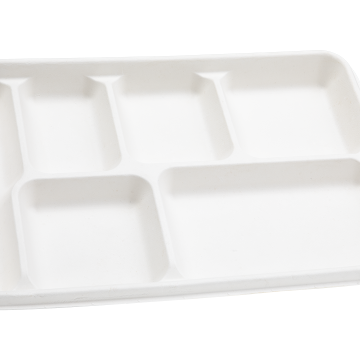 Disposable 5CP LID (500)