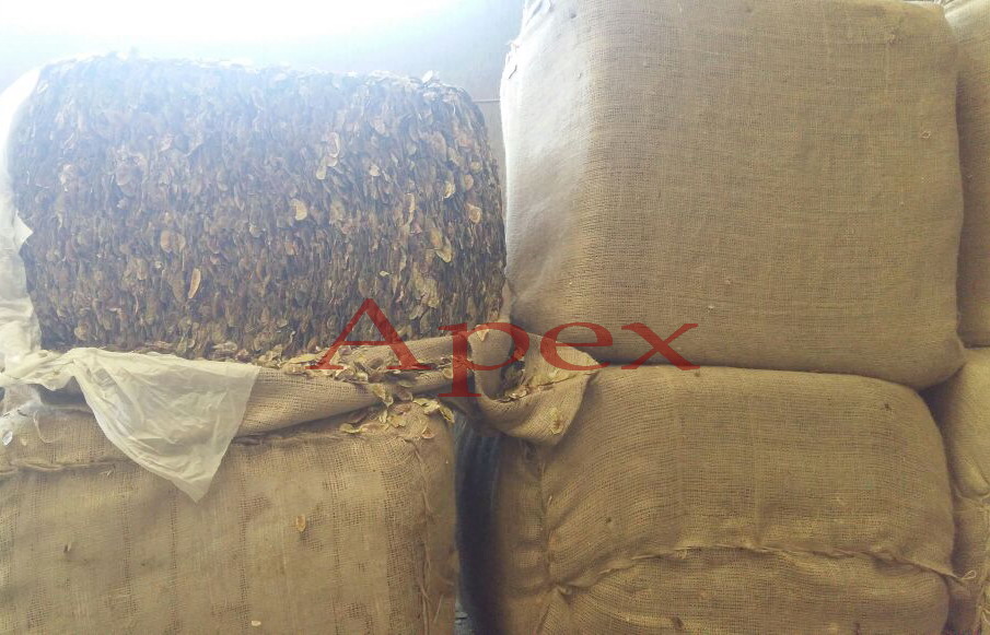 Senna Pods - Admixture (%): Less Then %