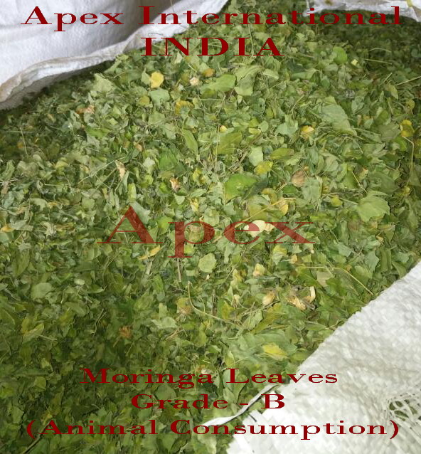 Moringa Leaves - Admixture (%): Less Than 1%