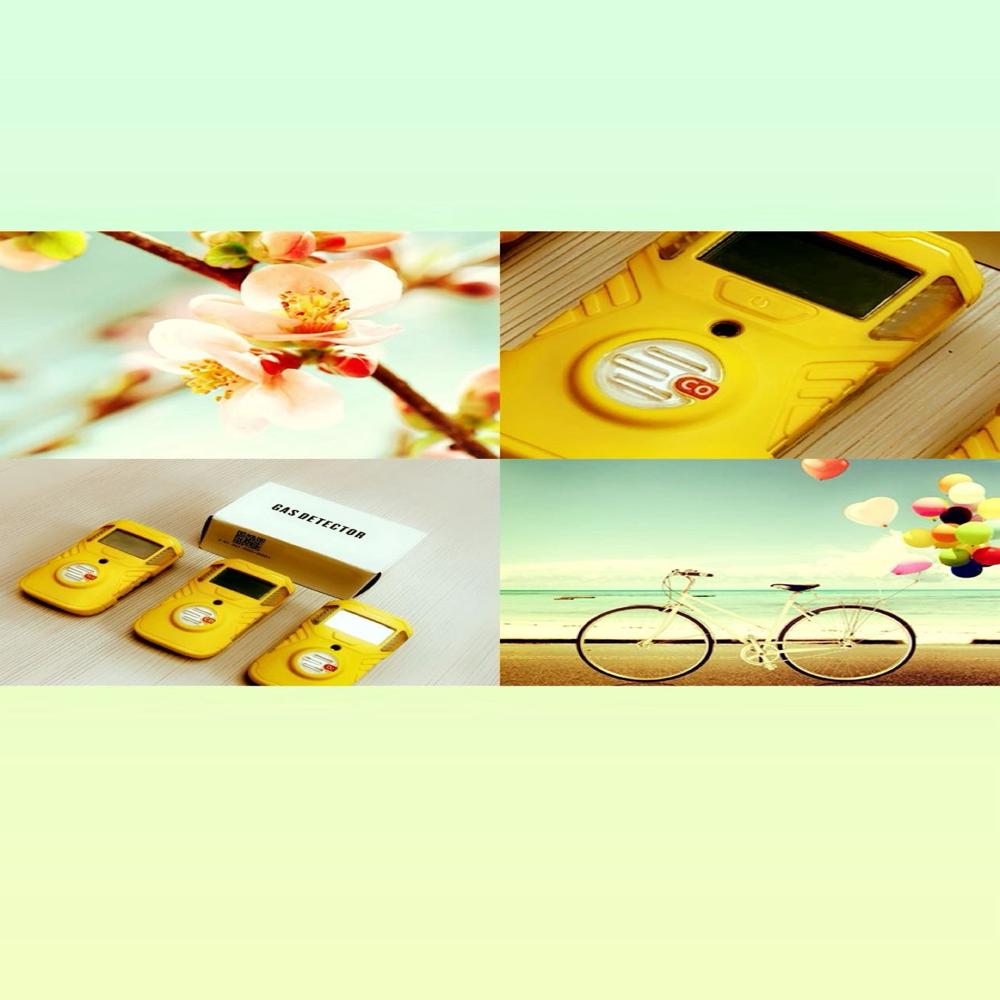 Portable Gas Detector - Accuracy: 5 %