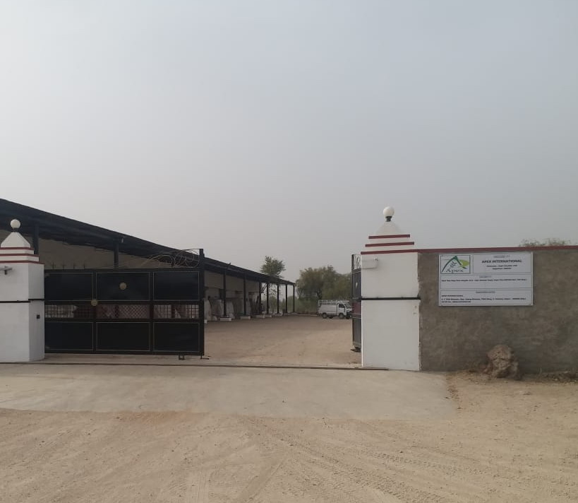 Gymnema Sylvestre Extract 25%