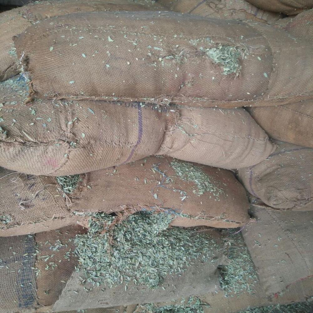 Gymnema Sylvestre Extract 25%