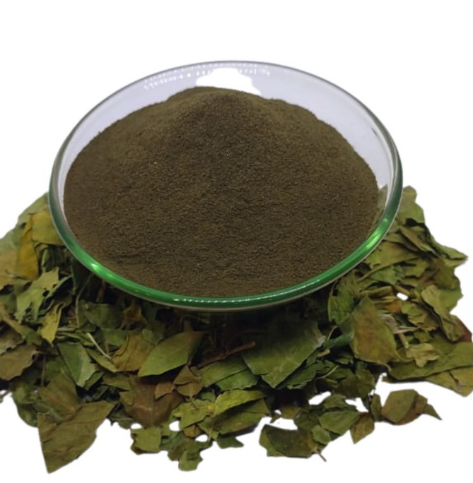 Gymnema Sylvestre Extract 75%