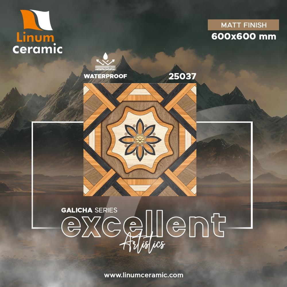 10049 600x600 Mm Matt Finish Tile - Feature: Acid-resistant